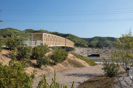 Pedestrian Bridge