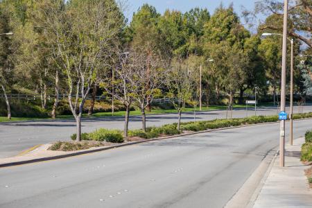 Valencia Median